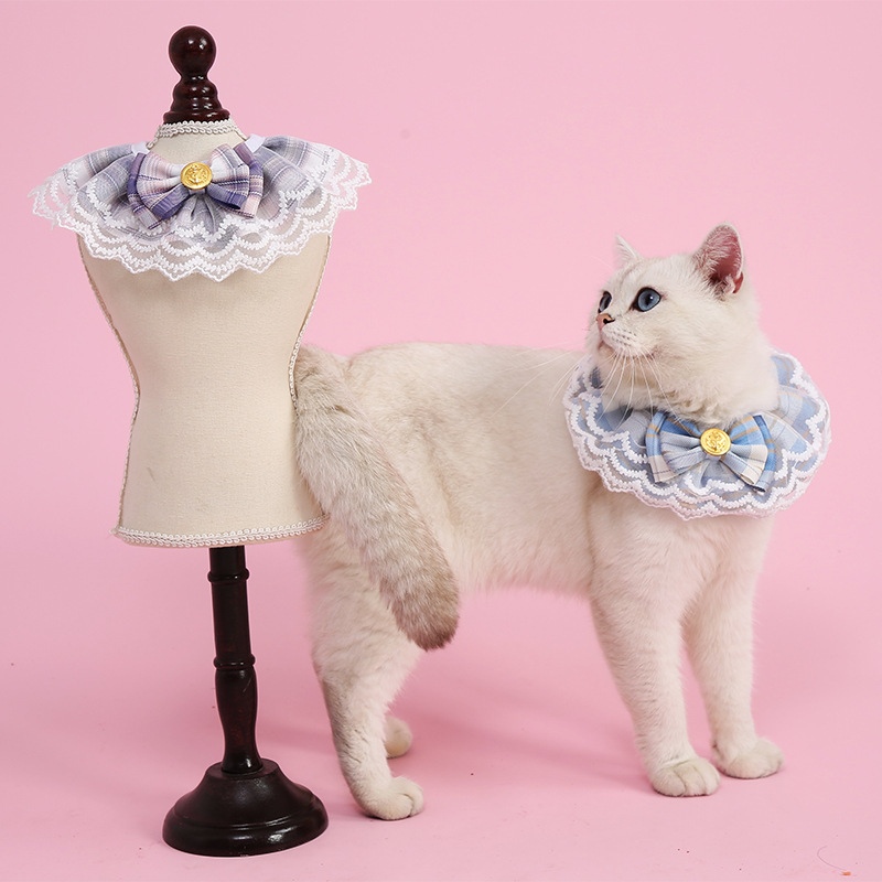 Cute princess cat collar