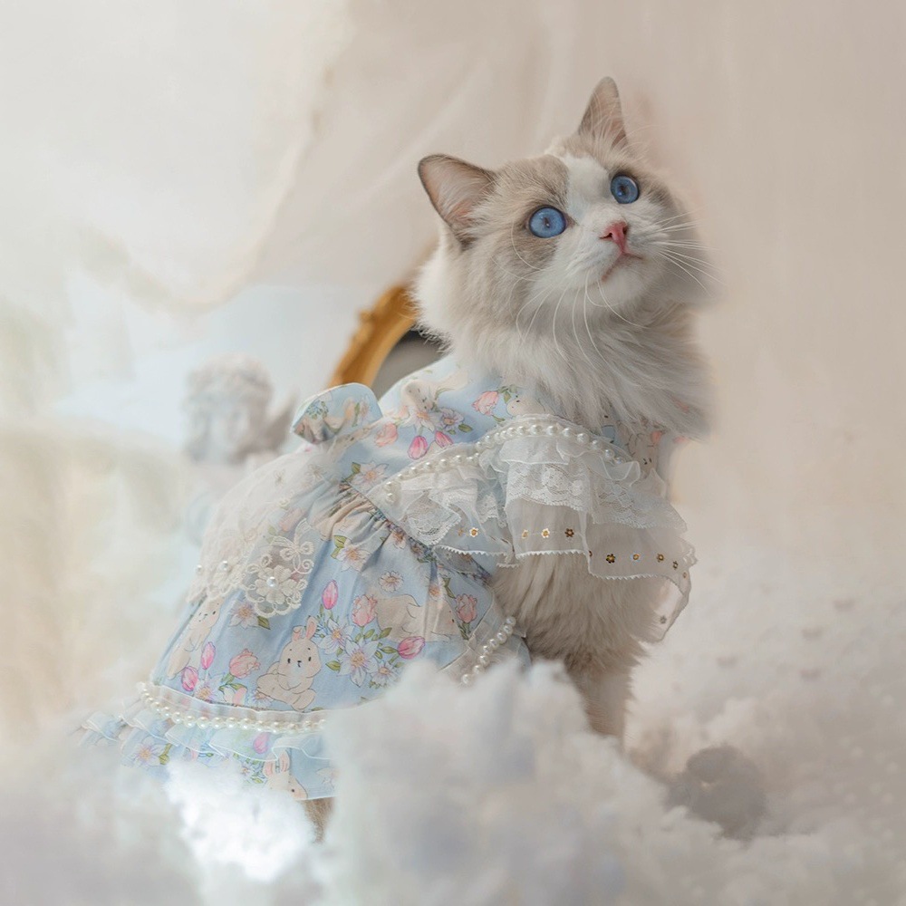 Cat Princess Dress